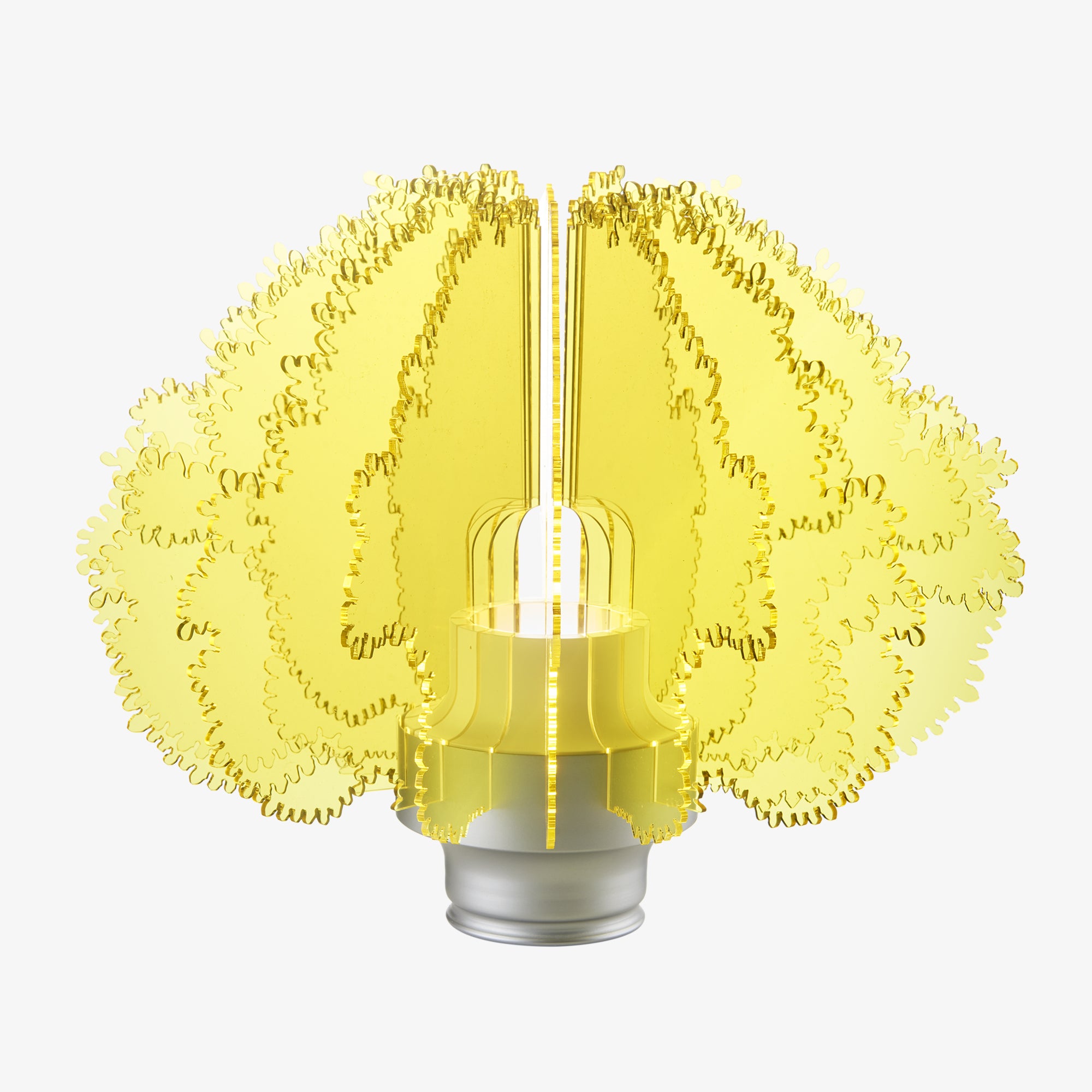 Cespuglio - Yellow